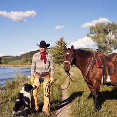 Blue Stripe Flannel Western Shirt Blue | Stetson Men