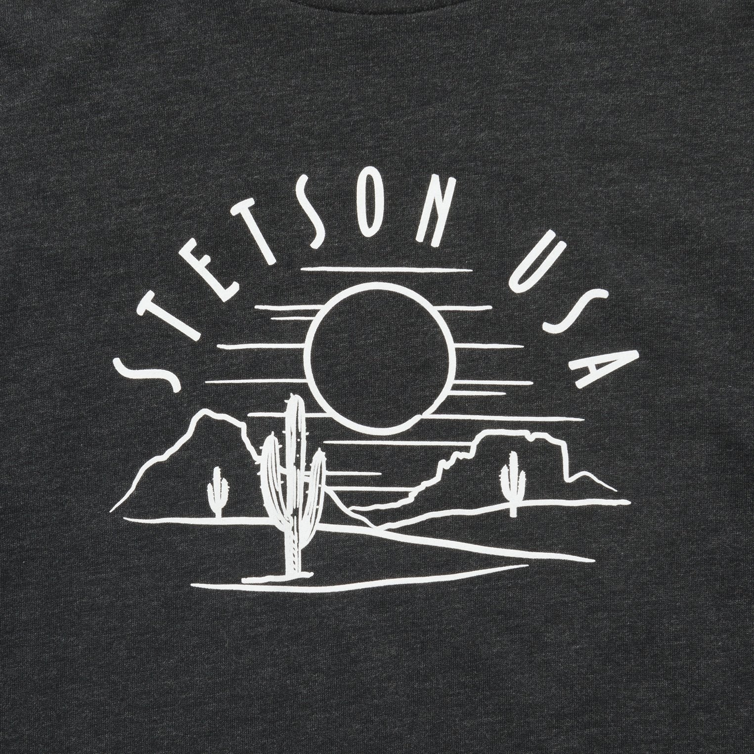Cactus And Sunset Graphic Tee Black | Stetson Women