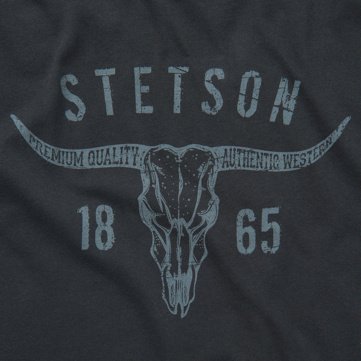 Longhorn Graphic Tee Black | Stetson Men