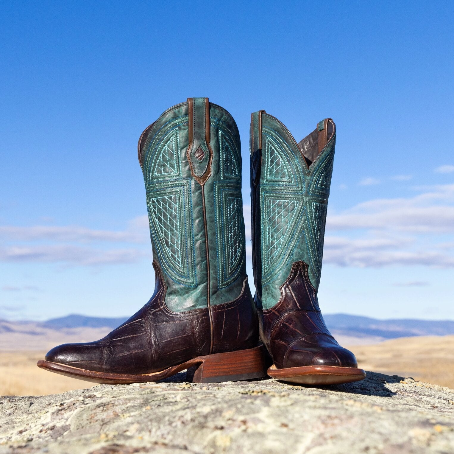 Big Horn Tobacco Alligator Cowboy Boot Brown | Stetson