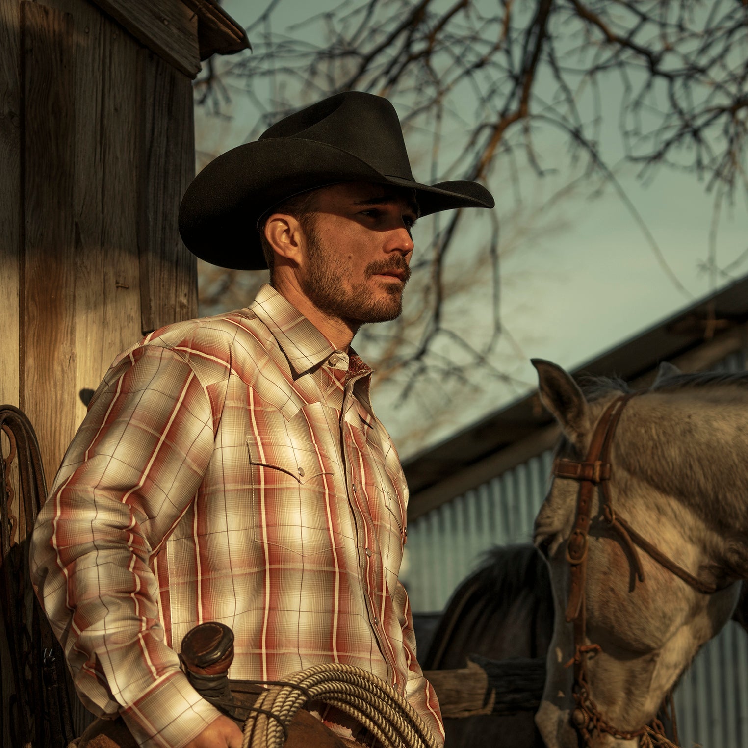 El Amo 500X Premier Cowboy Hat Black | Stetson Hats