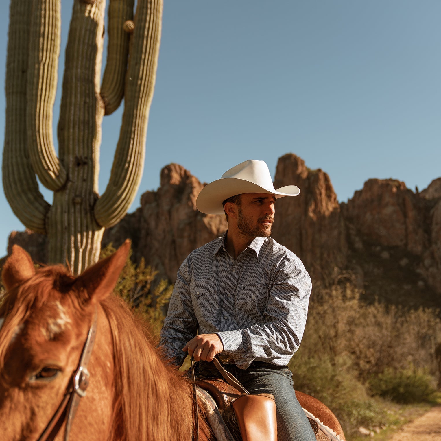 Shasta 10X Premier Cowboy Hat White | Stetson Hats