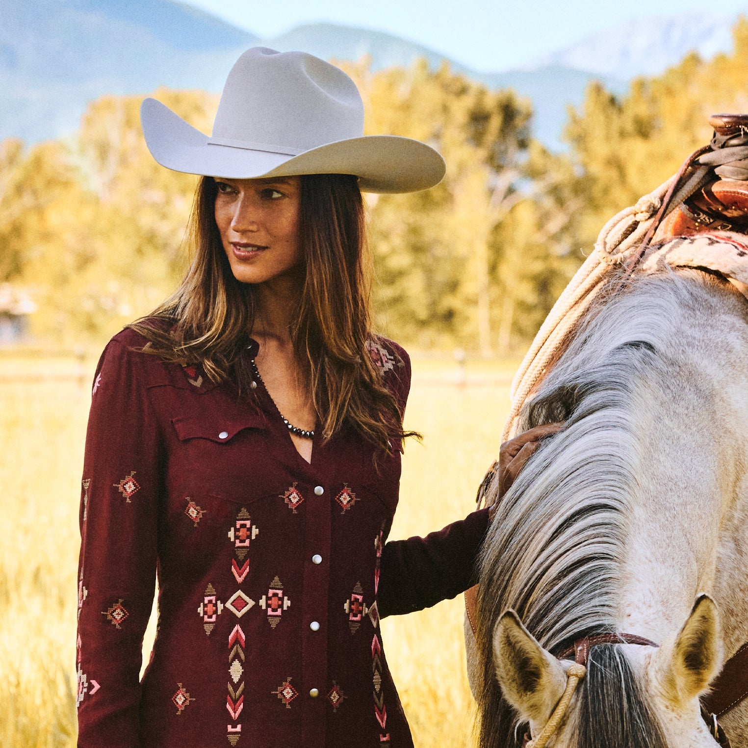 Skyline 6X Cowboy Hat Silver Grey | Stetson Hats