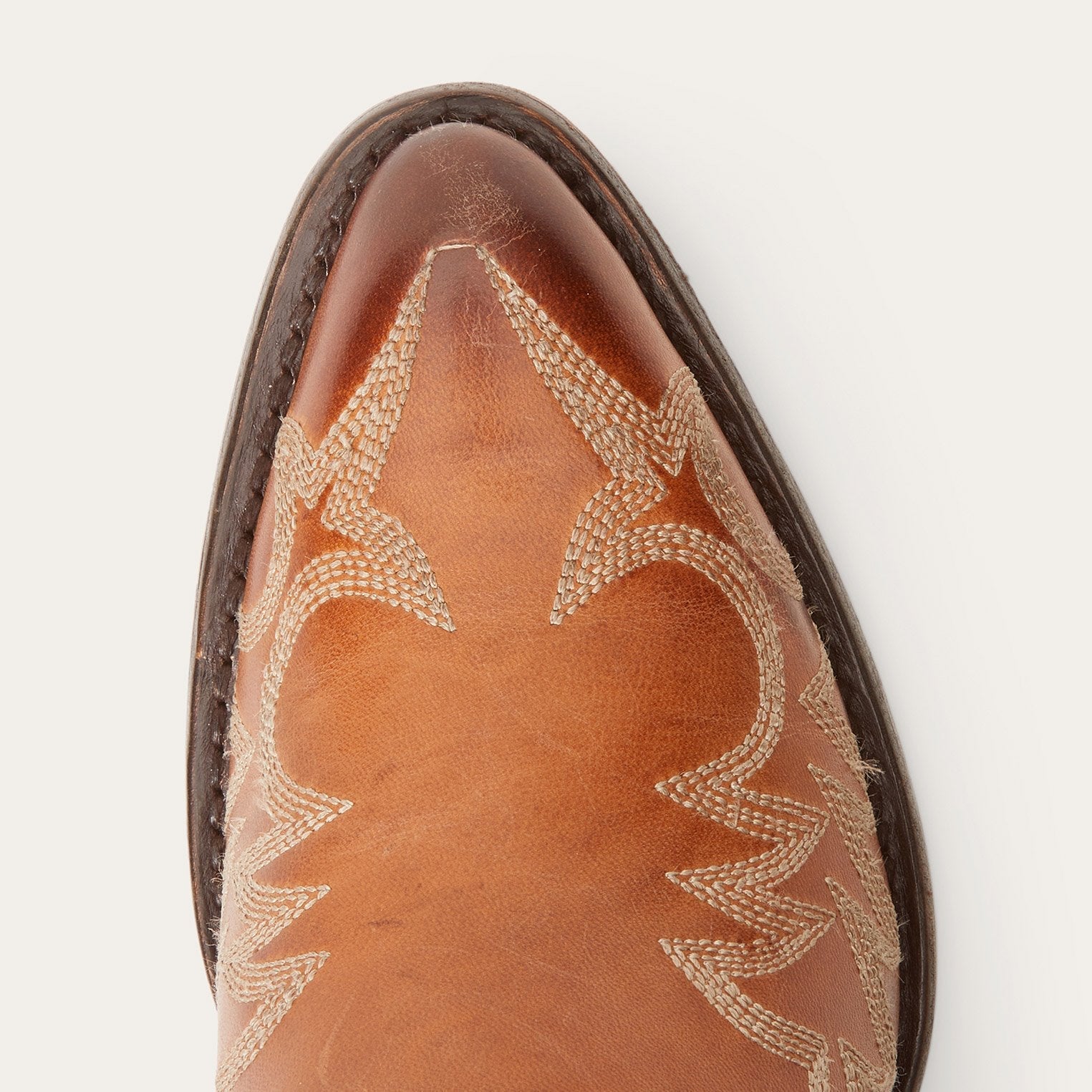 Gianna Brown | Stetson