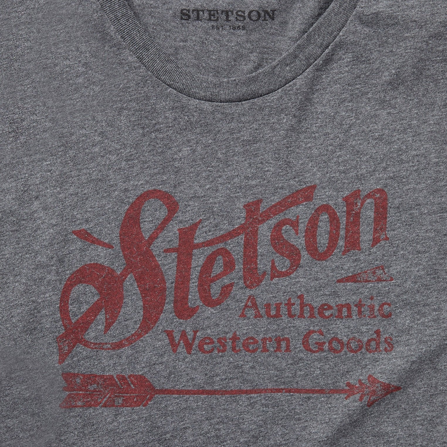 Vintage Arrow Graphic Tee Grey | Stetson Men
