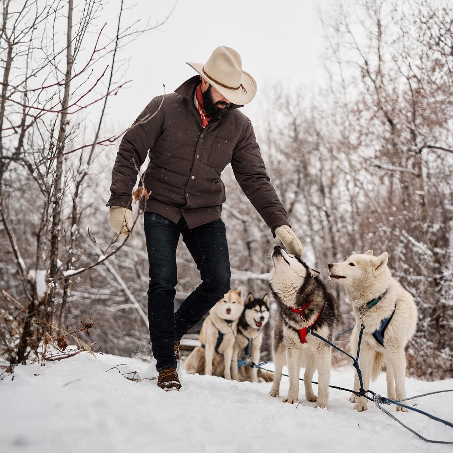 Grey Down Jacket Grey | Stetson Men