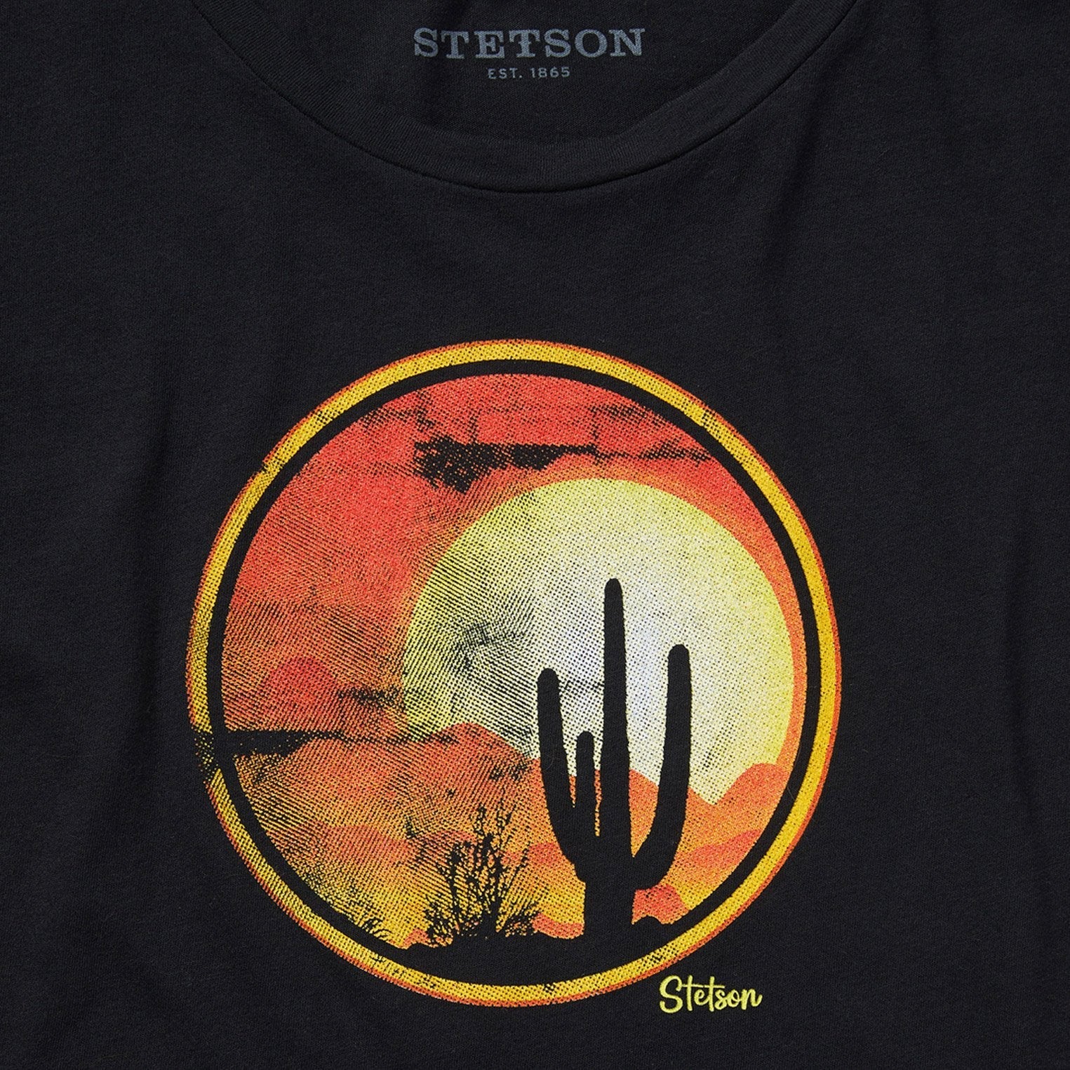 Sunset Saguaro Graphic Tee Black | Stetson Women