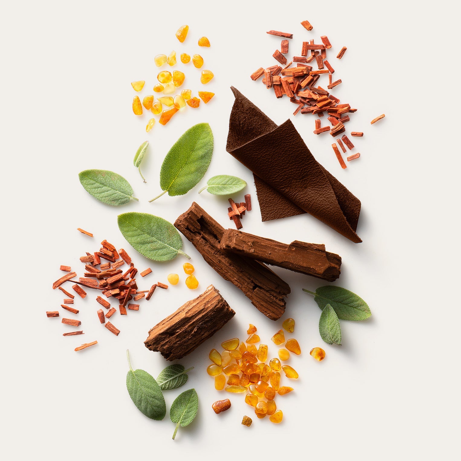 Stetson Spirit Cologne  | Stetson Men