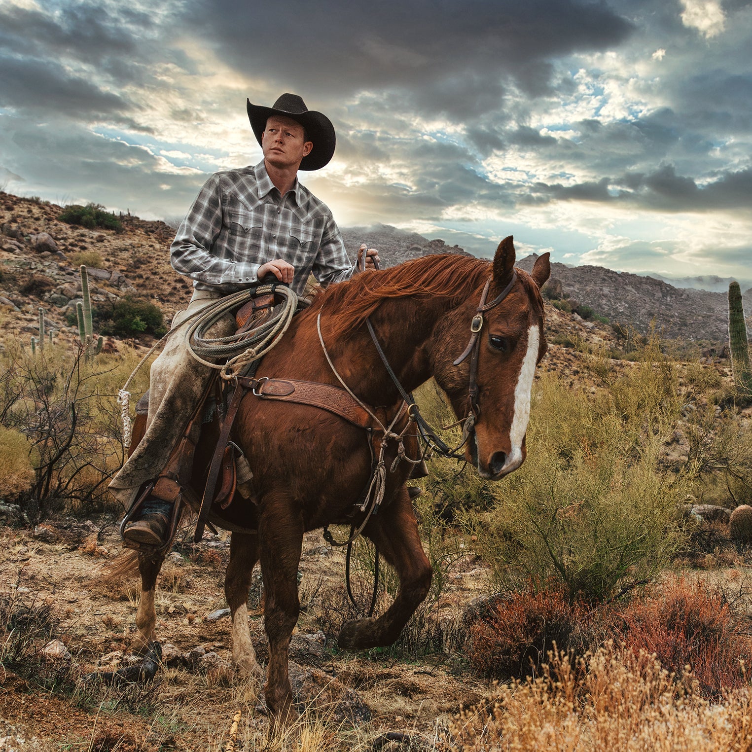 Dobby Twill Plaid Shirt Brown | Stetson Men