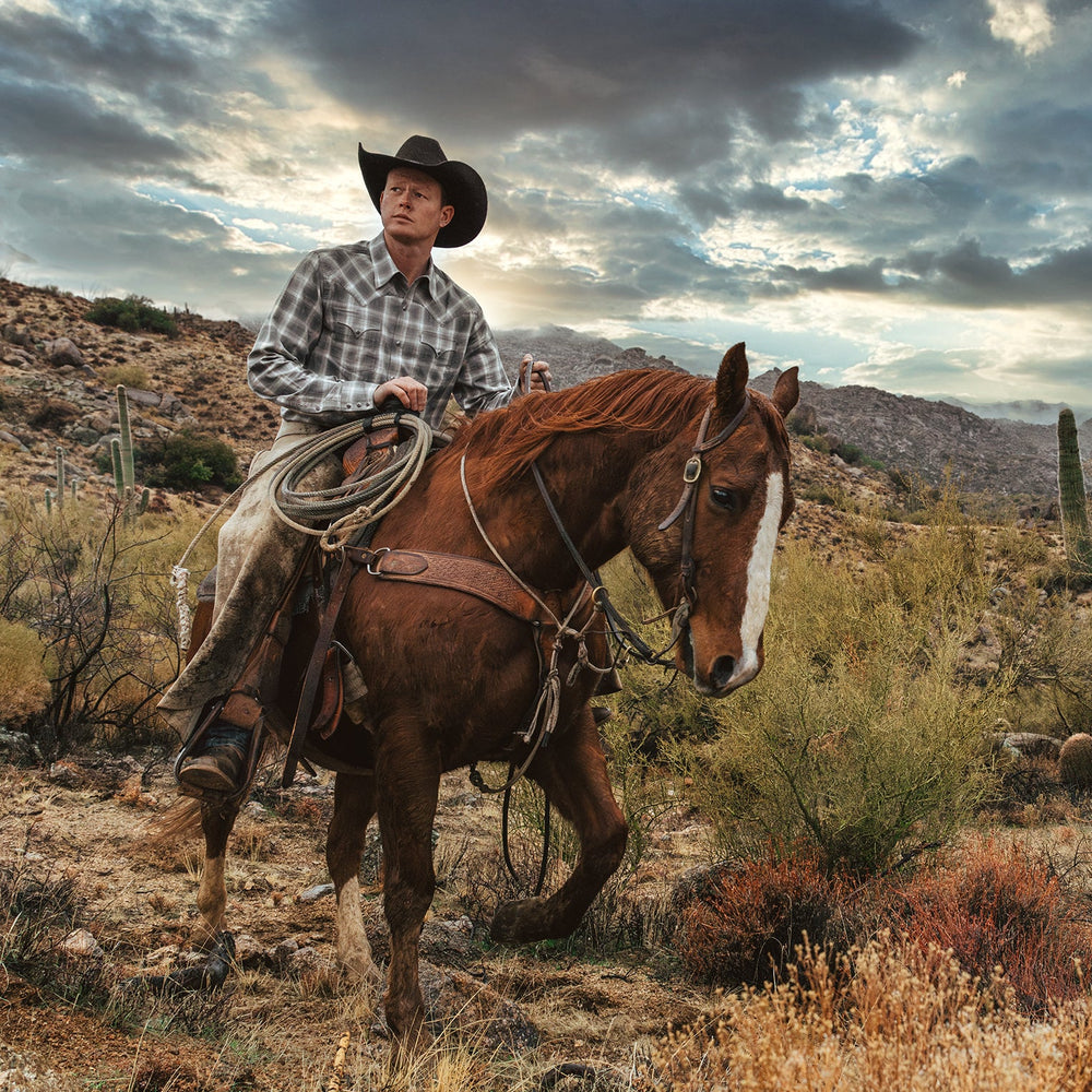 Dobby Twill Plaid Shirt Brown | Stetson Men