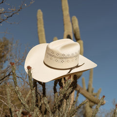 Baker 20X Straw Cowboy Hat Natural | Stetson Hats