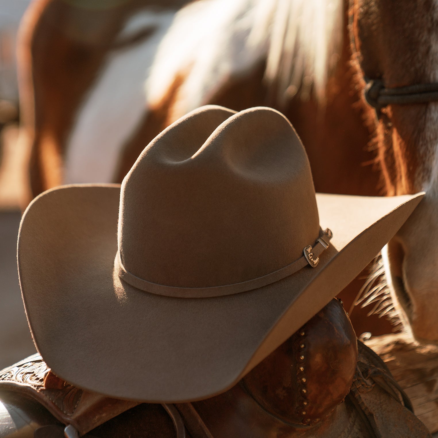 Skyline 7242 6X Cowboy Hat Sahara | Stetson Hats