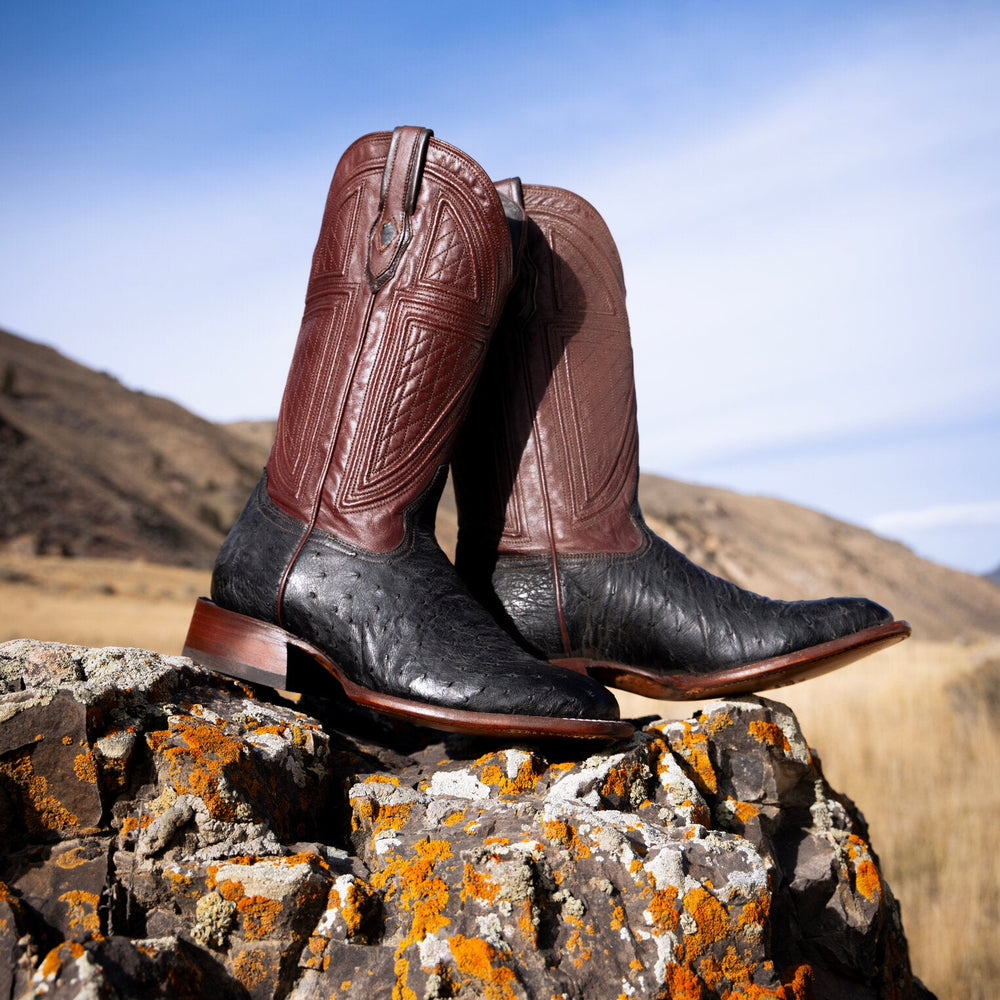 Dillon Ostrich Boots Black | Stetson
