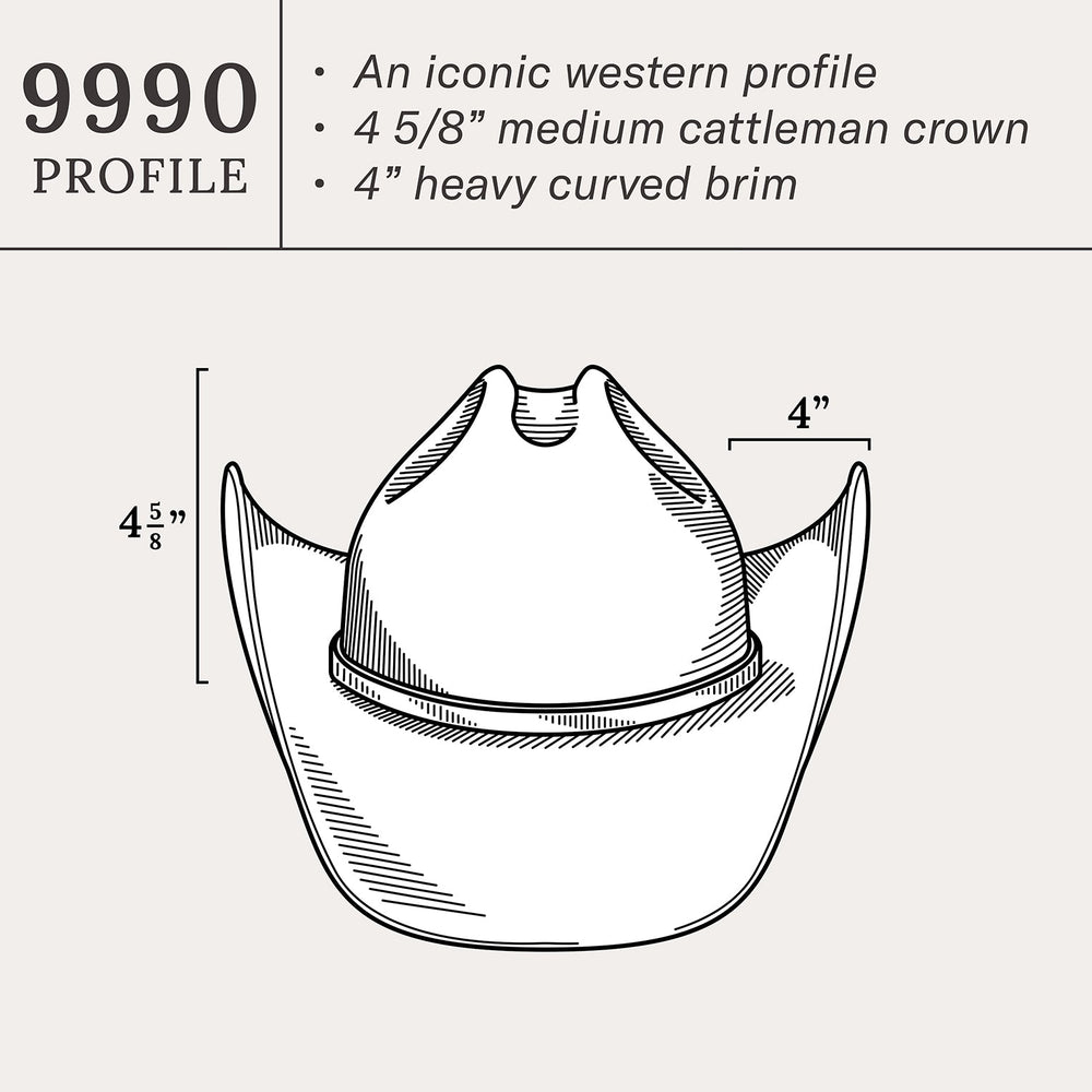 Boss of the Plains 6X Cowboy Hat Black | Stetson Hats