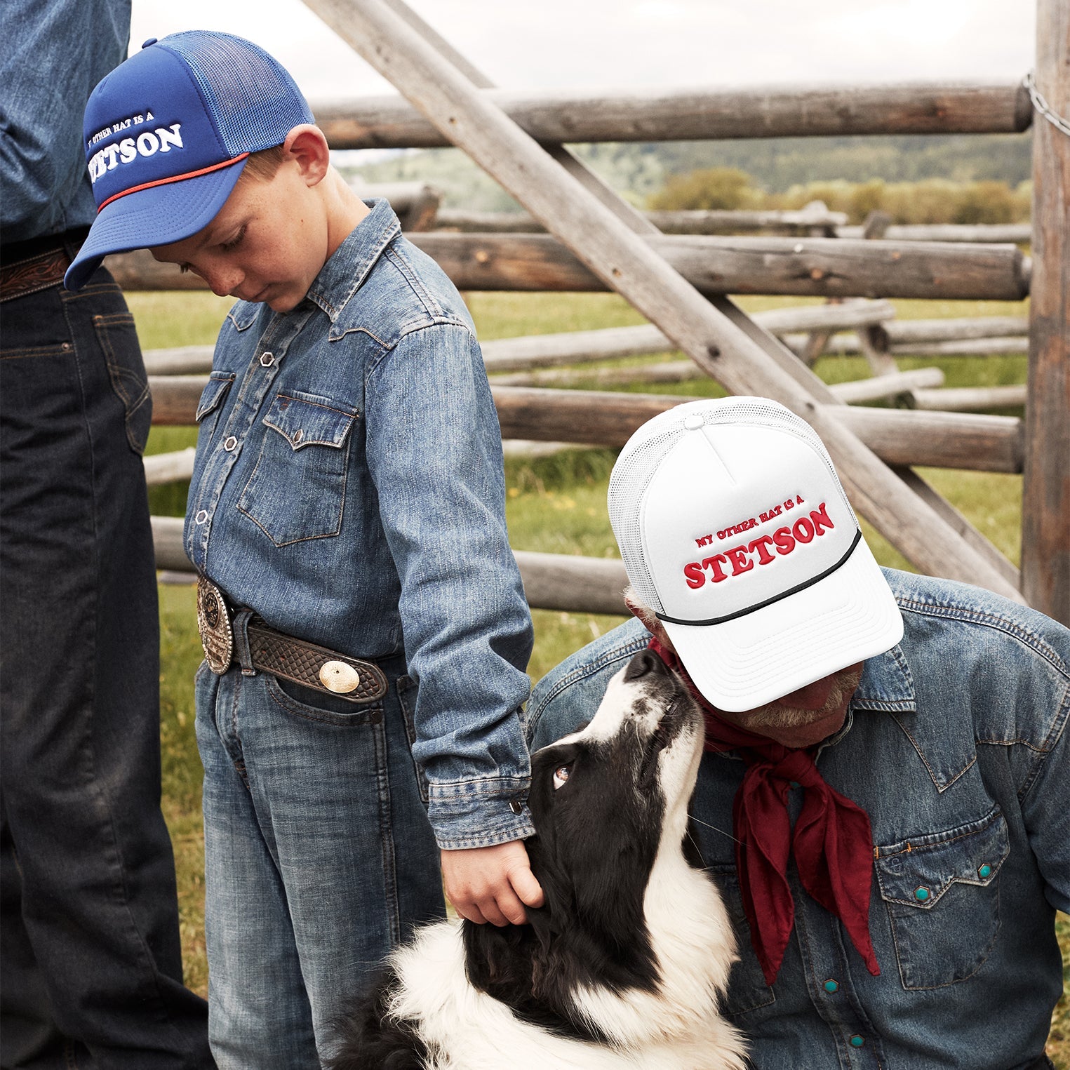 My Other Hat Is A Stetson Trucker Cap Royal | Stetson Hats