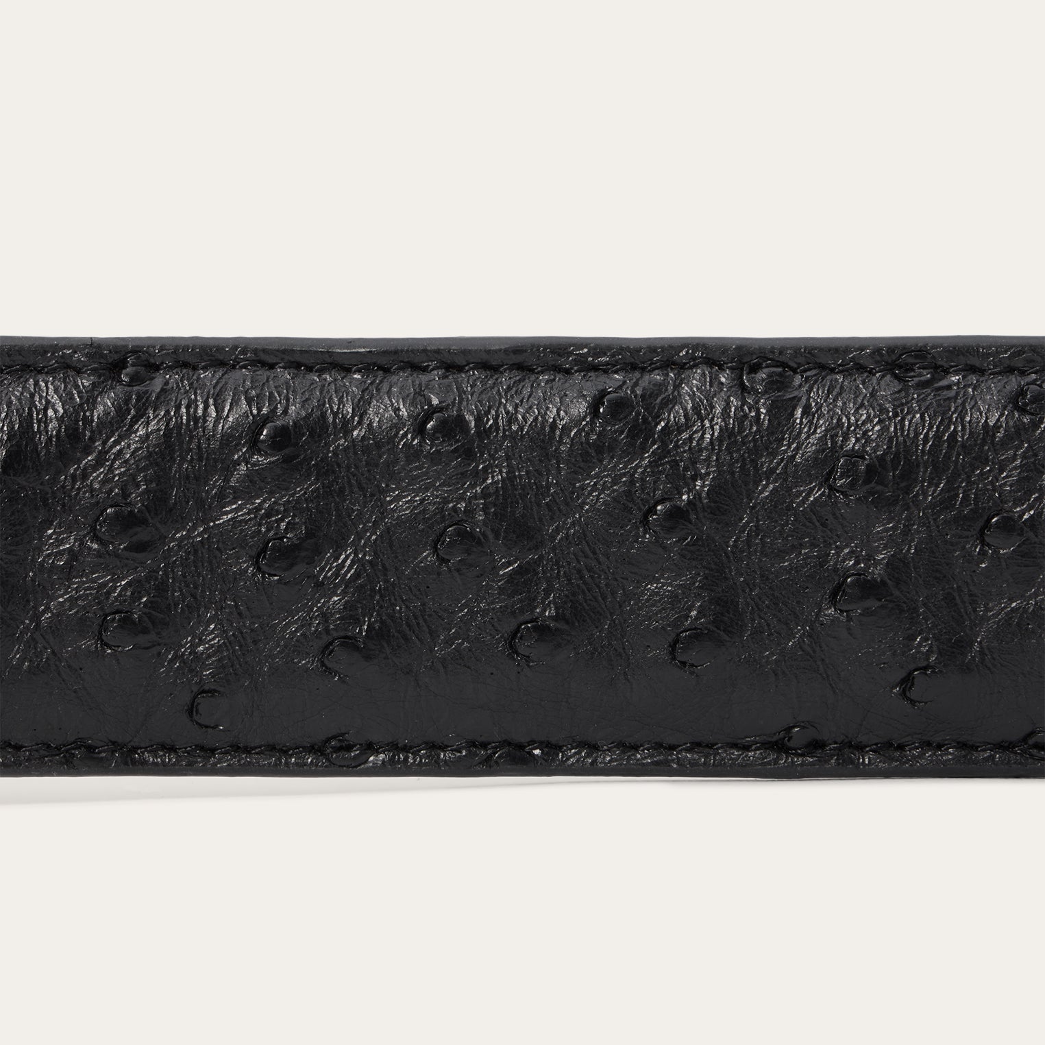 Ostrich Western Tab Belt Black | Stetson Men