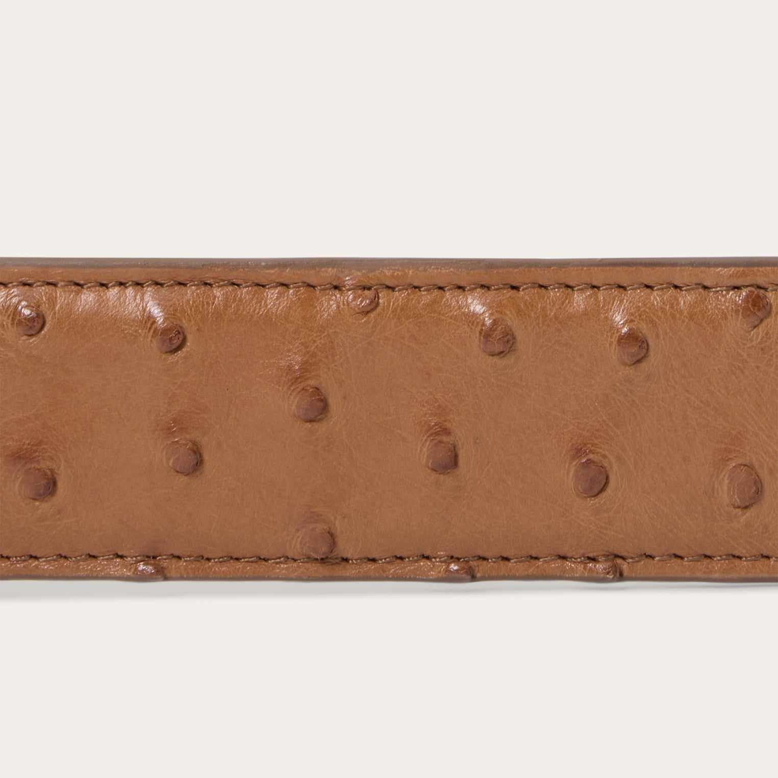 Ostrich Western Tab Belt Antique Cognac | Stetson Men