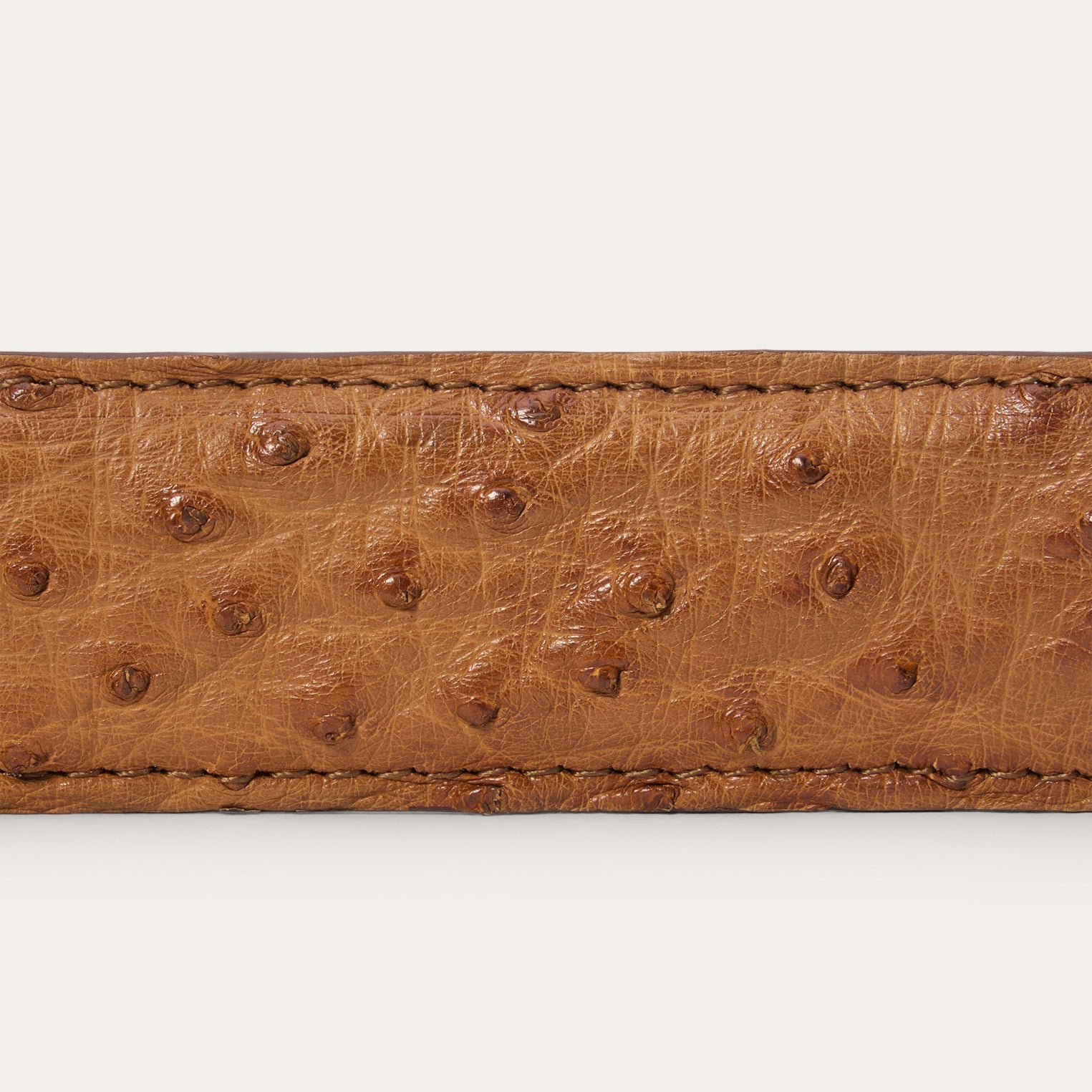 Ostrich Western Tab Belt - 1 1/4" Width Antique Cognac | Stetson Men