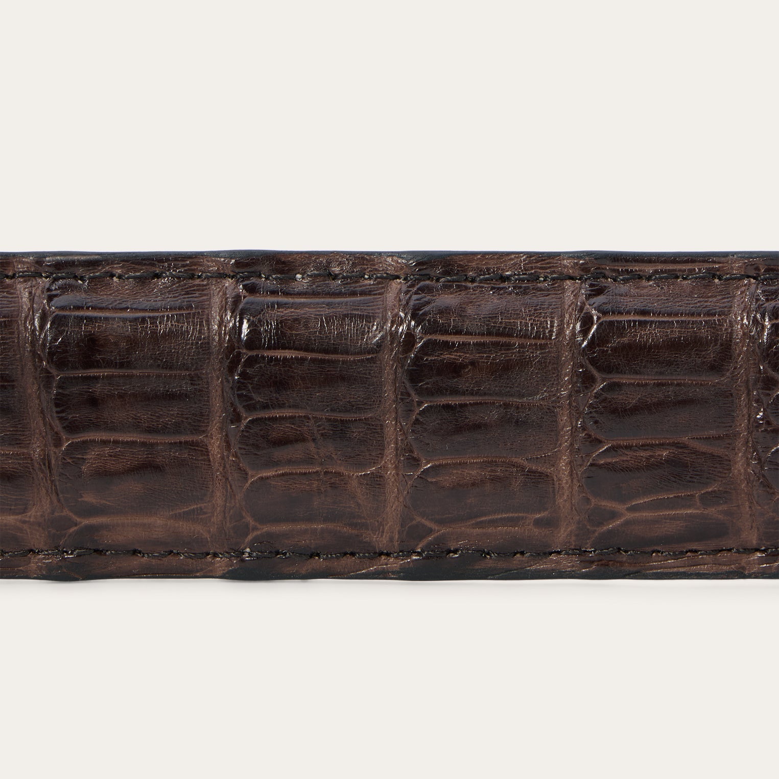 Caiman Western Tab Belt - 1 1/4" Width Cigar Classic | Stetson Men