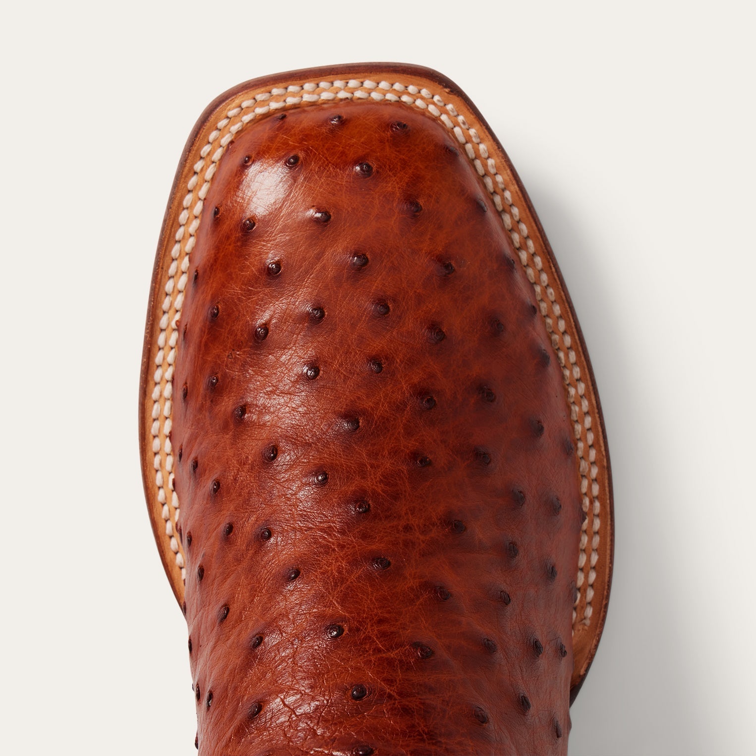 Ozzy Ostrich Boot Brown | Stetson