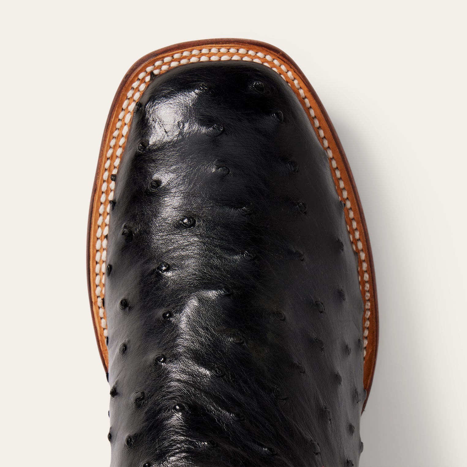 Ozzy Ostrich Boot Black | Stetson