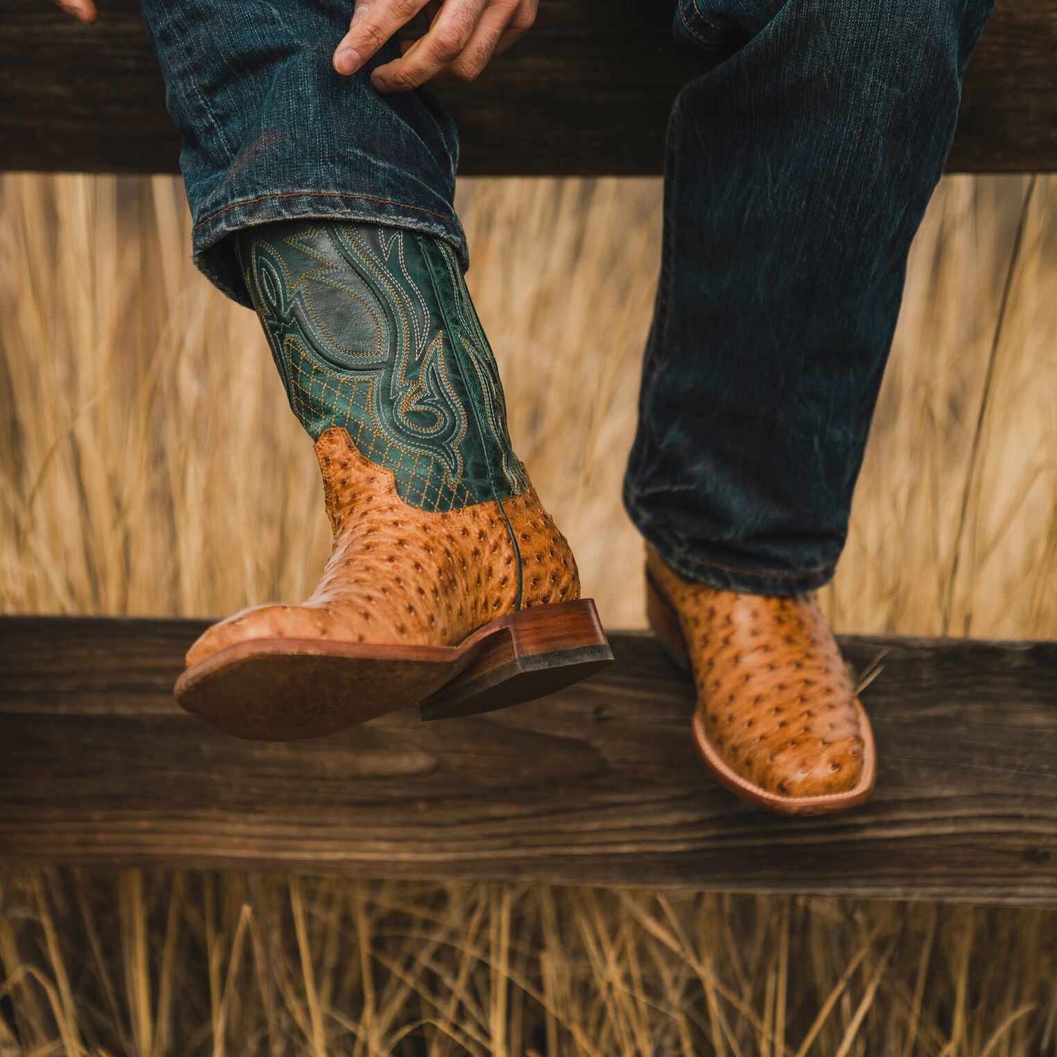 Ozzy Ostrich Boot Tan | Stetson