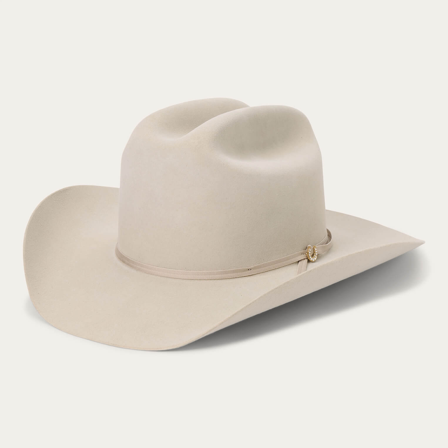 Regal 6X Cowboy Hat Silverbelly | Stetson Hats